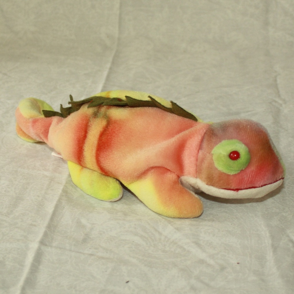 Iggy the Iguana